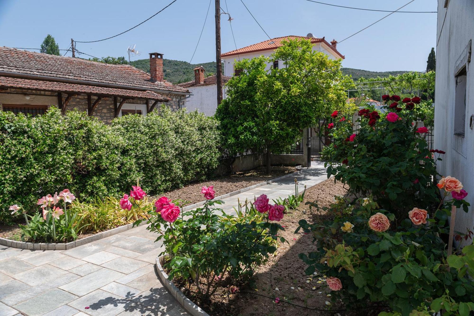 Zmas Studios Khórto Luaran gambar