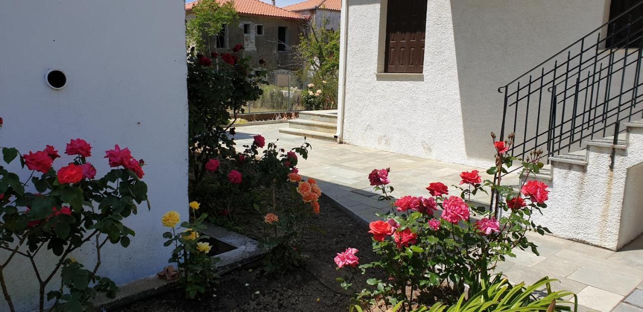 Zmas Studios Khórto Luaran gambar